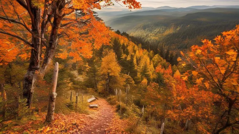 Discover the best fall hiking destinations for breathtaking autumn views. Explore picturesque trails and enjoy vibrant fall foliage with our top picks.