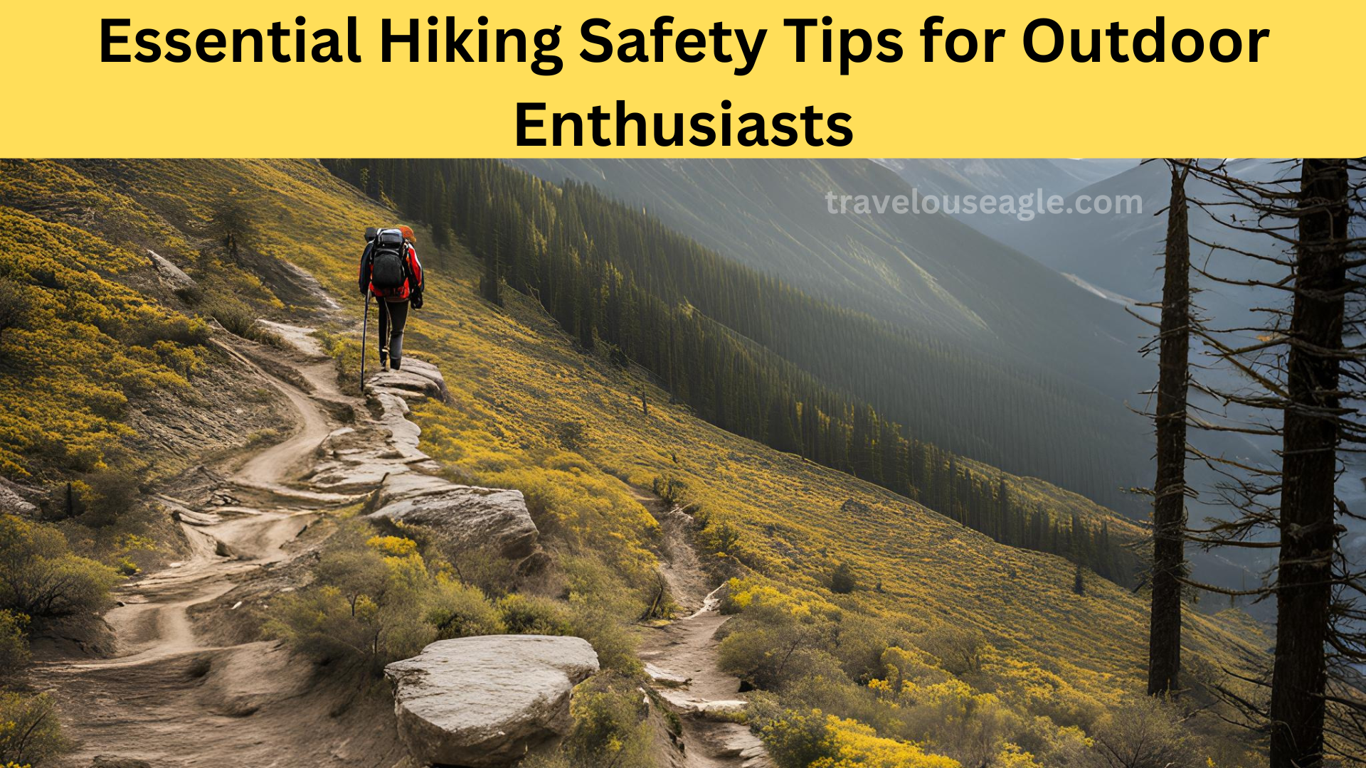 Essential Hiking Safety Tips for Outdoor Enthusiasts